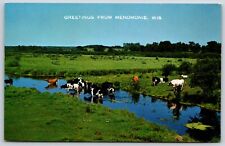 Postcard Dairy Cattle In Pasture Creek Menomonie, Wisconsin Unposted picture