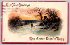 New Year Greetings Antique Embellished Postcard PM Waterloo IA Iowa Cancel Tucks picture