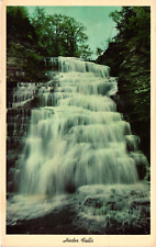 1964 Hector Falls Historical On Sullivan Trail NEW YORK Vintage Postcard Posted picture