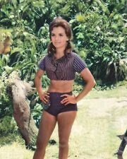 TV Star Dawn Wells #SF2001 Colorized Re-Print 4x6 picture