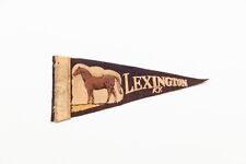 Vintage Lexington Kentucky Horse Souvenir Mini Felt Pennant 8