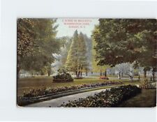 Postcard A Scene in Beautiful Washington Park Albany New York USA picture