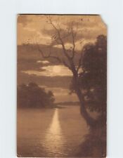 Postcard Evening Moon Trees Lake Landscape Scenery picture