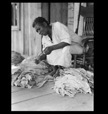 1938 Black Sharecropper PHOTO Great Depression Tobacco Farmer GEORGIA picture