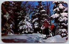 Postcard Winter Fun, Vacationland Scene, Skiers Enjoy Skiing, Posted 1952 picture