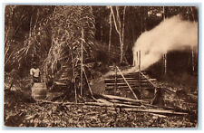 c1920's Charcoal Burning Trinidad and Tobago Unposted Antique Postcard picture