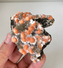 Orange Thomsonite Natural Crystal Cluster Rare AP545a picture