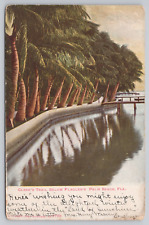 Clark's Trail Below Flagler's Palm Beach Florida Vintage Undivided Back 1900s picture