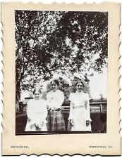 Vintage Small Cabinet Photo of Pretty Edwardian Girls from GREENFIELD ILLINOIS  picture