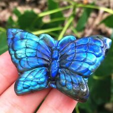 1PC Natural Labradorite Butterfly Crystal Heal Home decoration Crystal Gifts picture
