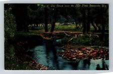 Evansville WI -Wisconsin, The Brook, Near the Hill Pond, Vintage Postcard picture
