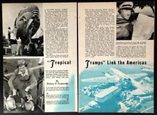 Pan American Latin American Cargo Clippers 1951 pictorial transport picture