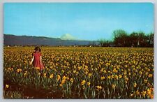 Vintage Postcard WA Mt Rainier Daffodil Fields Little Girl Chrome ~13136 picture