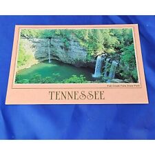 Fall Creek Tennessee Postcard Falls State Park picture