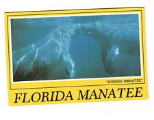 Florida Manatee 