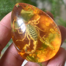 Beautiful Amber Scorpion Fossil Insects Manual Polishing Lucky Ornaments Gift picture