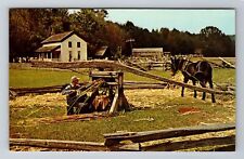 Cades Cove TN-Tennessee, Great Smoky Mt Park, Sorghum Cane, Vintage Postcard picture