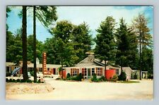 Hendersonville NC-North Carolina, Briarwood, Outside, Vintage Postcard picture