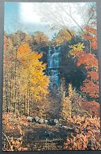 Syracuse New York NY Postcard Chittenango Falls Some of the best trout fishing picture