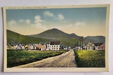 Lincoln NH New Hampshire General Street View Vintage Postcard A7 picture