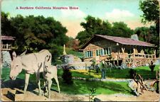 Vtg Postcard 1910s - A Southern California Mountain Home - Van Ornum Pub Unused picture