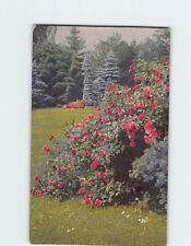 Postcard Beautiful Flower Garden picture