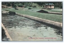 1912 Scenic View Trout Pond Hatchery Manchester Iowa IA Vintage Posted Postcard picture