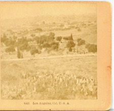 CALIFORNIA, View of Los Angeles--Stereoview D6 picture