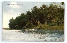 Hog Island Near Marshall Michigan MI Vintage Postcard picture