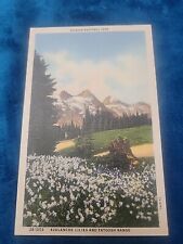 vintage postcard washington state avalnache lilies tatoosh range ranier park picture