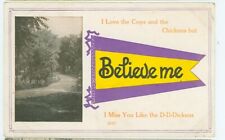 CONSTANCE,MINNESOTA-BELIEVE ME-PENNANT-PM1914-POSTMARKED CONSTANCE-(MN-CMISC) picture