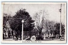 1927 Hick's Park Roadside Lampposts Scene Plainwell MI Posted Vintage Postcard picture