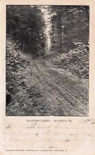 Lover's Lane, Brooklyn, PA Vintage PC Stamped & Posted 1905 picture