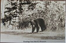 RPPC Greetings From Merrill, Wisconsin Black Bear, Vintage Unposted picture