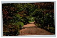 View a Road Through Woods, Loomis NY c1910 Vintage Postcard picture