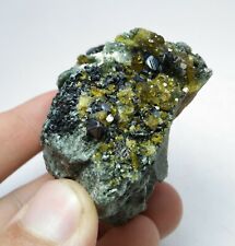 Magnetite with Diopside, Epidote and clinochlore mica on matrix picture