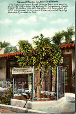 Glenwood Mission Riverside California Historical Orange Tree Vintage Postcard  picture