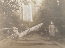 1910s RPPC - CHILDREN ON A BROKEN BRIDGE old real photograph postcard AMERICANA picture