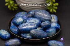 Blue Kyanite Tumbles picture