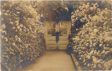 Greenhouse Lincoln Park Conservatory? Chicago IL RPPC Real Photo Postcard c1905 picture