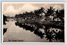 Chennai India Postcard The Cooum Madras River and Trees View c1930's RPPC Photo picture