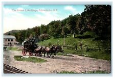 c1905 The Scroon Lake Stage Horse Carriage Adirondacks New York NY Postcard picture
