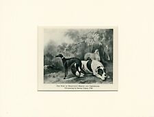 GREYHOUND AND MASTIFF VINTAGE 1945 MOUNTED DOG PRINT picture