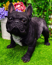 Cute Large Lifelike Black French Bulldog Statue With Glass Eyes 19.5