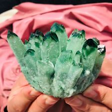  300-400g Rare New Twinkling Green Phantom Quartz Crystal Cluster Specimens  picture