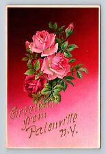 Palenville NY-New York, General Greetings Flowers, Vintage c1907 Postcard picture