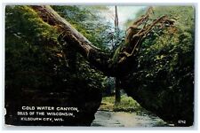 c1910s Cold Water Canyon Scene Dells Of The Wisconsin Kilbourn City WI Postcard picture
