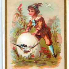 c1890s Strange Boy Pushing Giant Egg w/ Dead Bird Litho Trade Card Artistic C34 picture