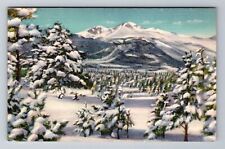 CO-Colorado, Longs Peak In Winter, Antique, Vintage Souvenir Postcard picture