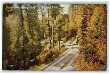 1924 State Highway Through Santa Cruz Mountains California CA Posted Postcard picture